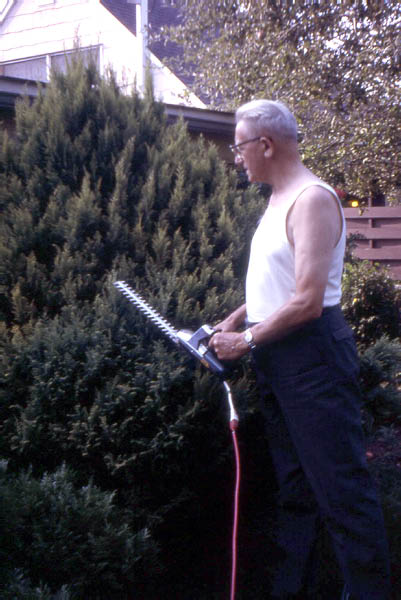1900-00 017 Pake trimming the hedge