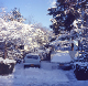 1976-06 04 Westbury in snow_edited-1
